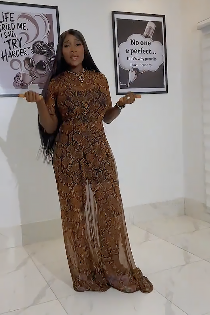 Timeless Sheer Chiffon Elegance Dress