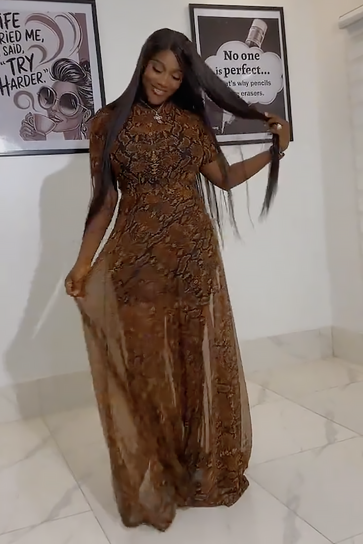 Timeless Sheer Chiffon Elegance Dress