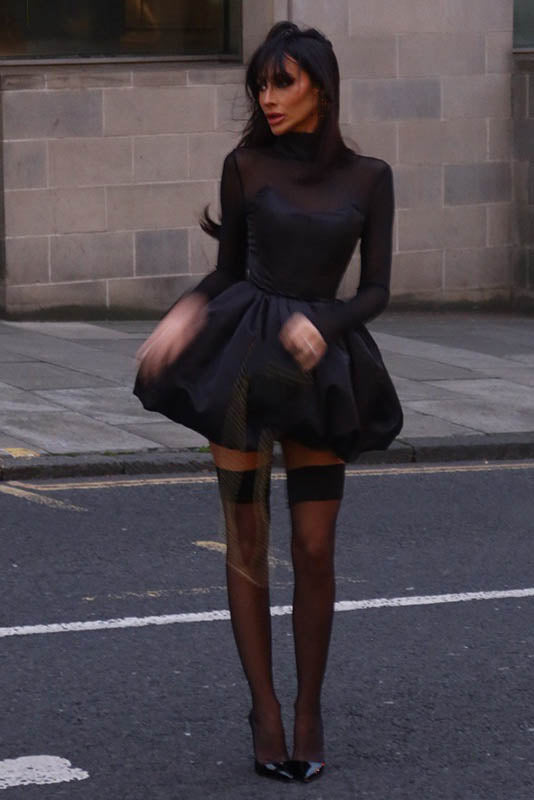 Winter Elegant Mesh Sheer Slim Fit Puff Mini Dress