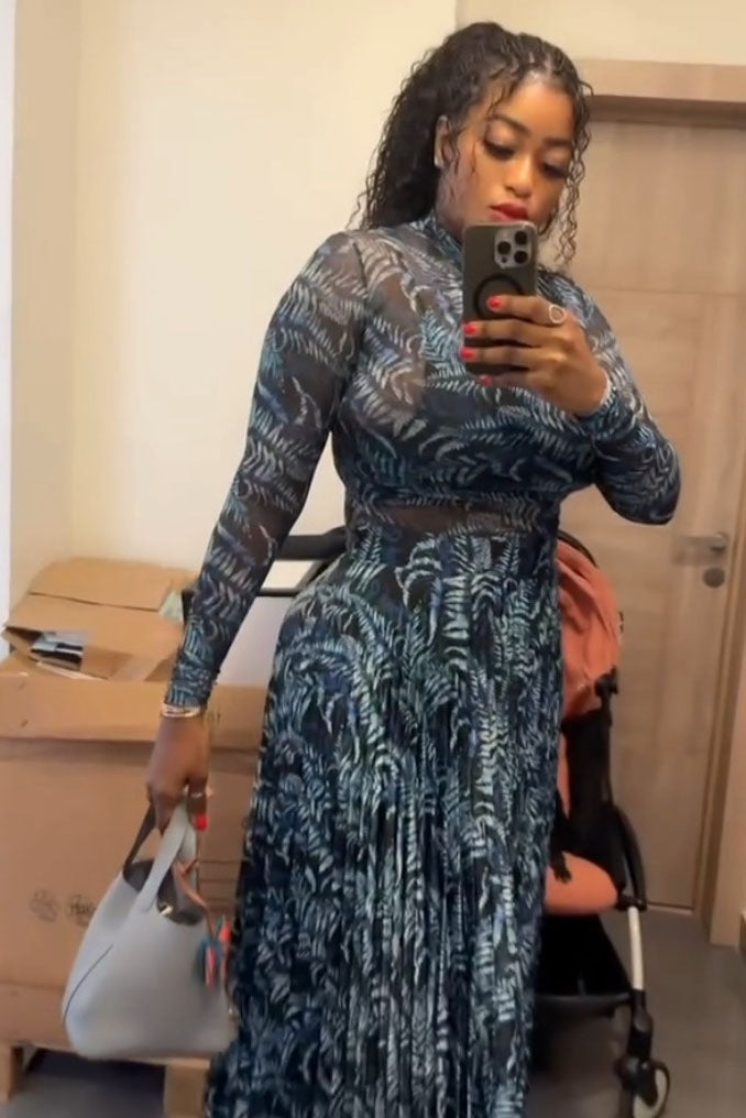 Mesh Pleated Abstract Maxi Dress