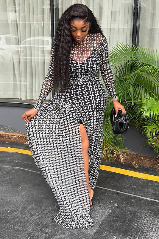 Ombré Zebra Transparentes Maxikleid