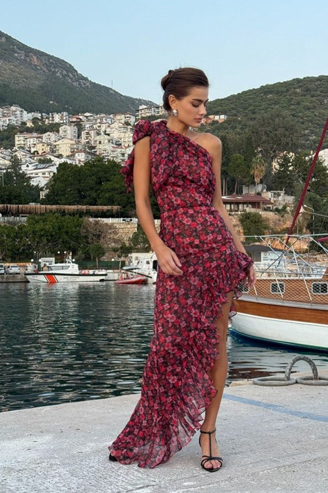 Kidney Ruffle Floral Print Dress