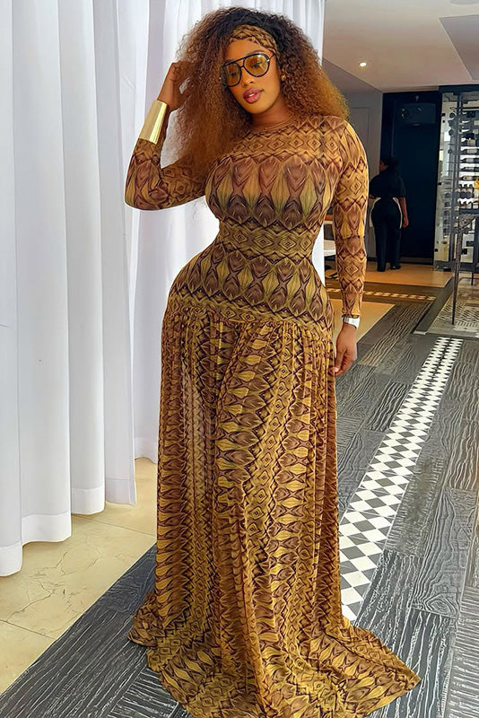 Vintage Feather Print Sheer Maxi Dress