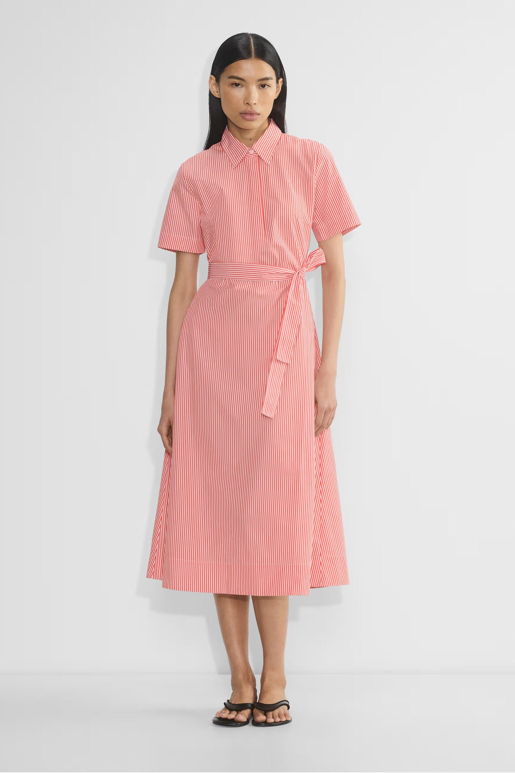 Typist Poplin Polo Midi Dress