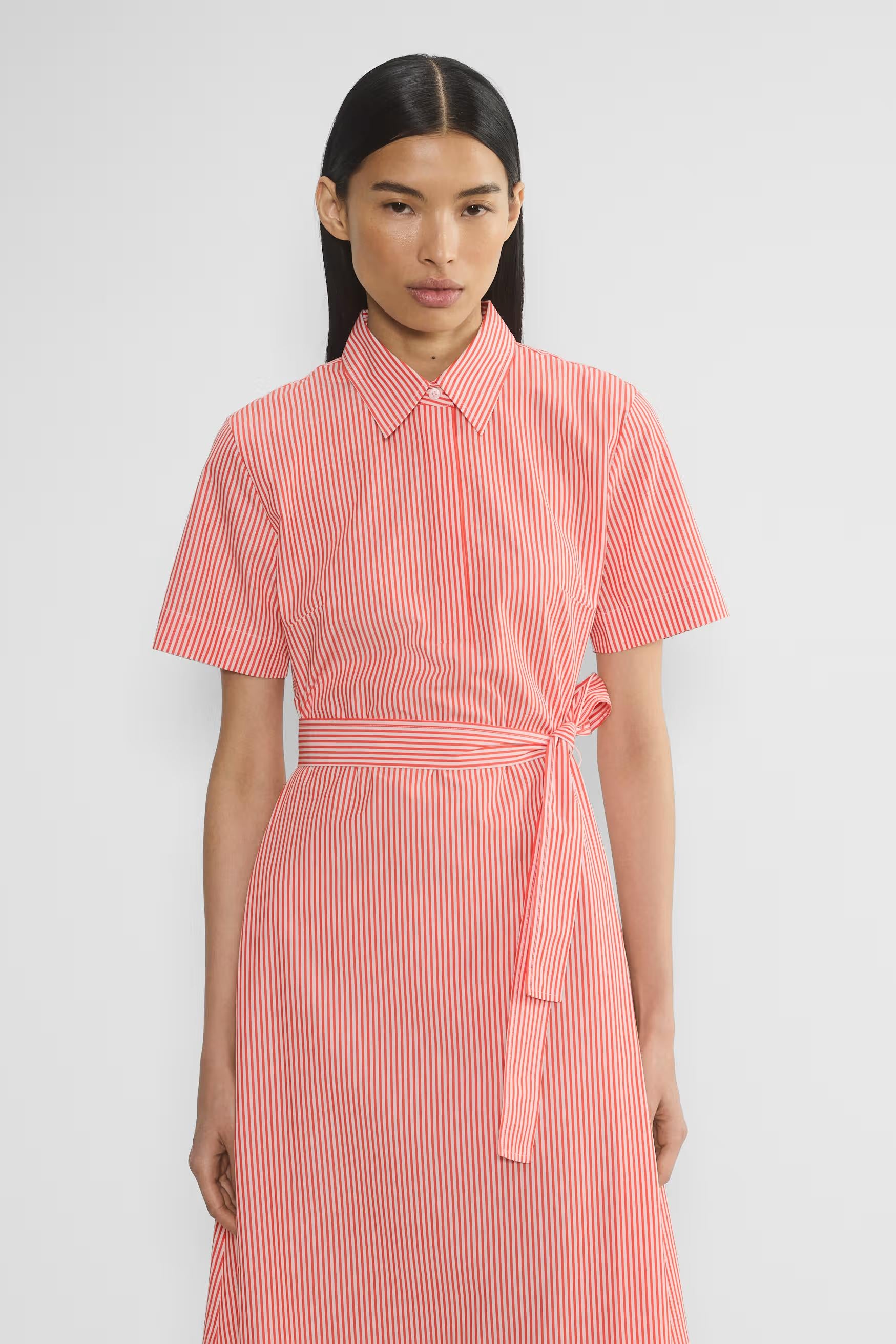 Typist Poplin Polo Midi Dress