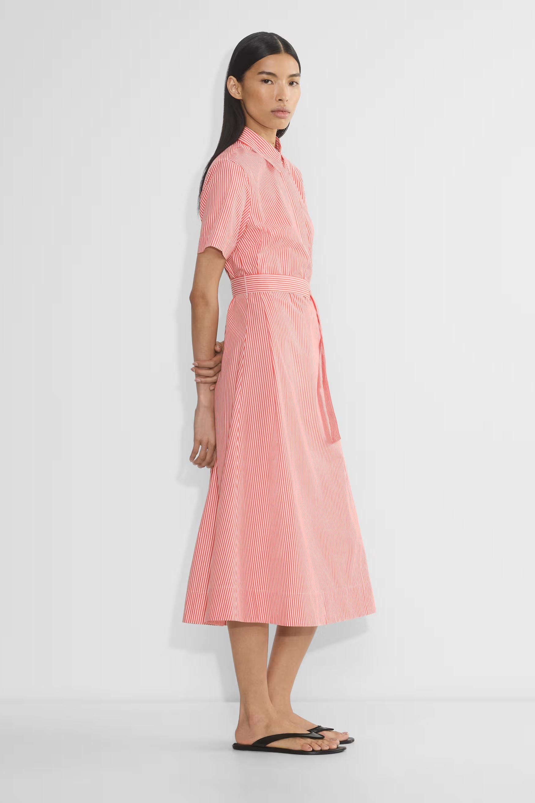 Typist Poplin Polo Midi Dress