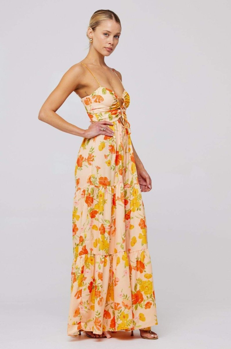 Beverly Printed Cut-out Maxi Slip Dress